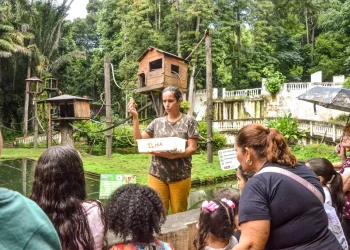 Parque Arruda Câmara inicia programação de férias nesta terça-feira (07)