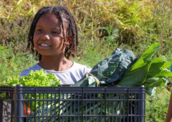 Imposto zero para alimentos da cesta básica vai aliviar bolso dos mais pobres