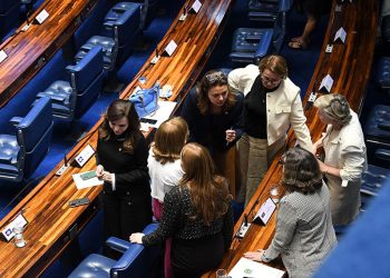 Bancada Feminina expande atuação e colhe vitórias em 2024