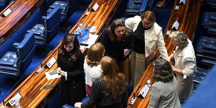 Bancada Feminina expande atuação e colhe vitórias em 2024