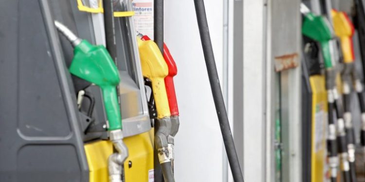 Sancionada lei que remunera produtor de cana por créditos de descarbonização