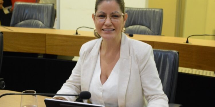 Danielle do Vale apresenta leis para fortalecer segurança e prevenção contra desastres naturais na Paraíba