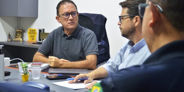 Prefeitura de Campina Grande discute operação para resgate de animais soltos nas vias públicas