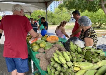 Prefeitura de João Pessoa promove Feira da Agricultura Familiar durante o mês de fevereiro