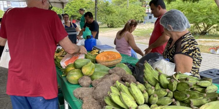 Prefeitura de João Pessoa promove Feira da Agricultura Familiar durante o mês de fevereiro