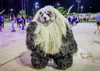 Bairros São José, Cruz das Armas e José Américo recebem prévias do Carnaval Tradição neste final de semana