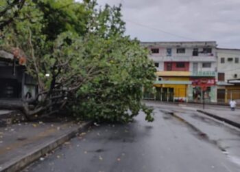 Chuvas em João Pessoa causam queda de árvores e de barreira, atingindo trem