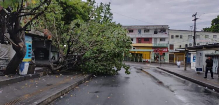 Chuvas em João Pessoa causam queda de árvores e de barreira, atingindo trem