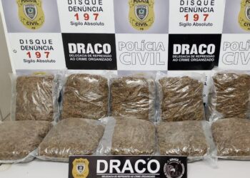 Operação da Polícia Civil no Carnaval apreende cerca de 100 quilos de drogas em 72 horas