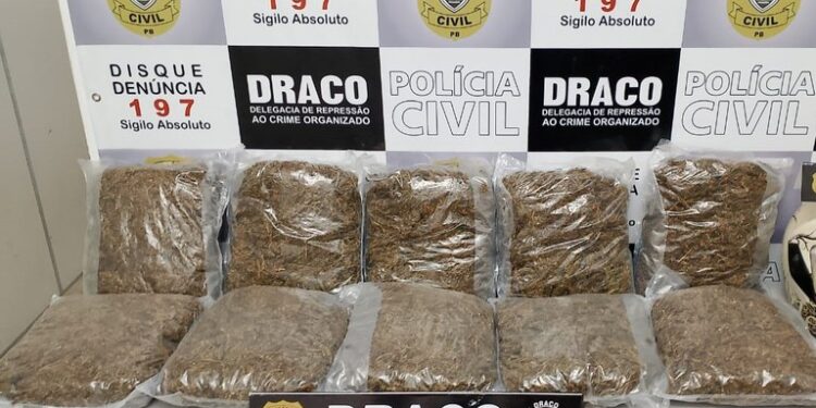 Operação da Polícia Civil no Carnaval apreende cerca de 100 quilos de drogas em 72 horas