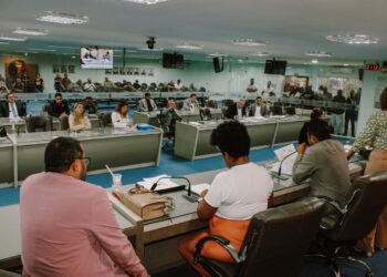 CMCG aprova a manutenção dos Vetos do Poder Executivo com votos da maioria