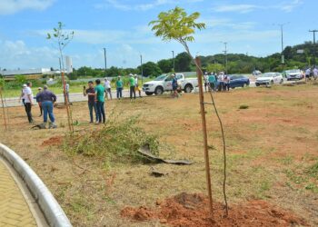 Programa ‘João Pessoa + Verde’ terá parceria com TRT-13 e vai recuperar áreas degradadas