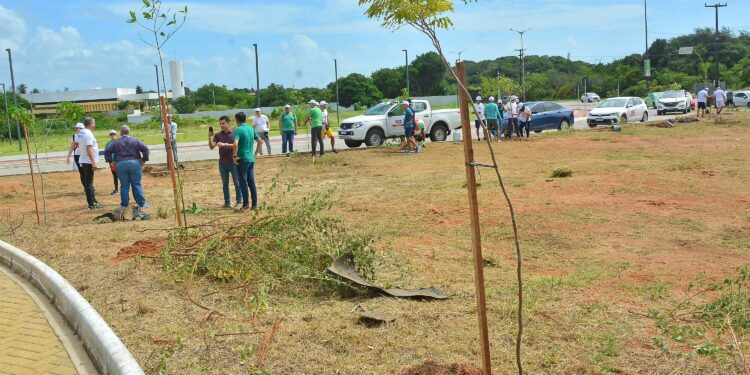 Programa ‘João Pessoa + Verde’ terá parceria com TRT-13 e vai recuperar áreas degradadas