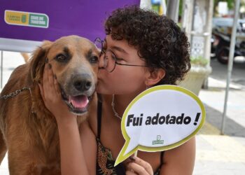 Centro de Controle de Zoonoses da Prefeitura realiza Dia D de Adoção nesta sexta-feira em comemoração ao Dia Nacional dos Animais