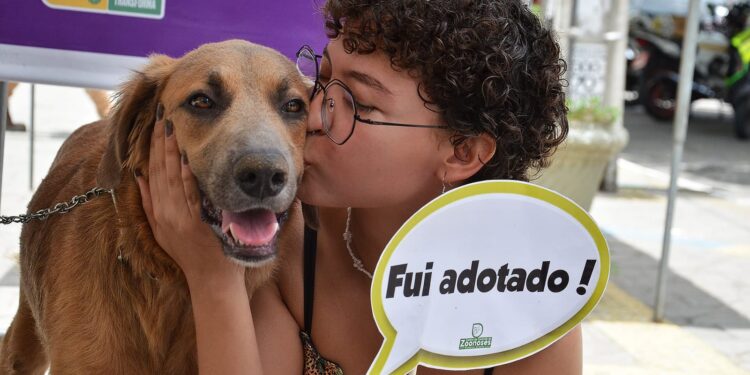 Centro de Controle de Zoonoses da Prefeitura realiza Dia D de Adoção nesta sexta-feira em comemoração ao Dia Nacional dos Animais