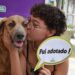 Centro de Controle de Zoonoses da Prefeitura realiza Dia D de Adoção nesta sexta-feira em comemoração ao Dia Nacional dos Animais