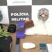 Polícia Militar apreende drogas e materiais de tráfico no bairro José Américo, em João Pessoa