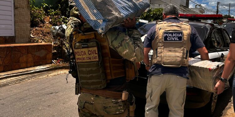 EM GUARABIRA: Polícia Civil investiga ‘mercadinho do tráfico’ e apreende mais de 60 quilos de maconha