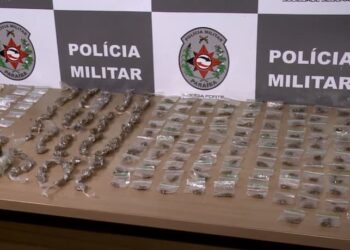 Polícia apreende drogas escondidas em casa abandonada no bairro de Cruz das Armas