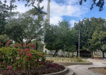 Vídeo: Bruno comemora mais um destaque nacional de Campina, desta vez na seara da arborização urbana