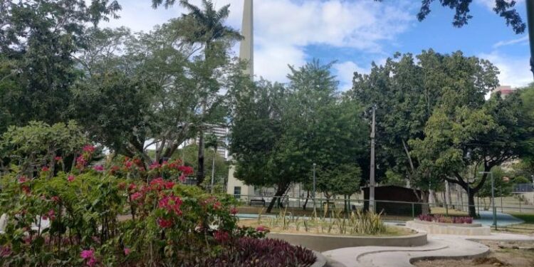 Vídeo: Bruno comemora mais um destaque nacional de Campina, desta vez na seara da arborização urbana