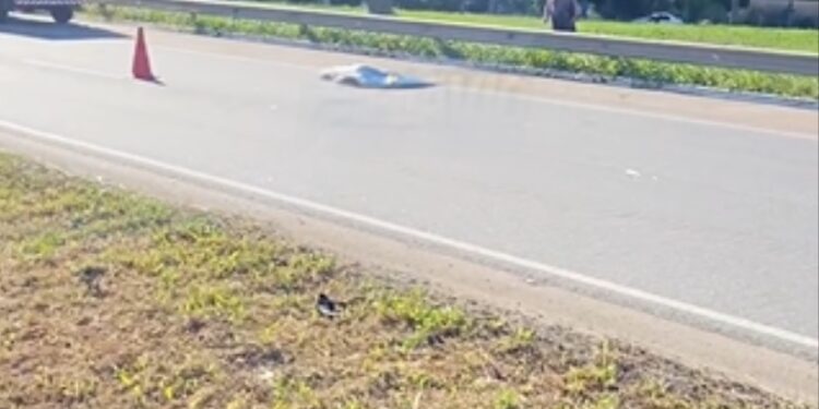 Idoso é atropelado e morre na BR 230 em Santa Rita, nas proximidades da fábrica Alpargatas