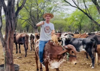 Romero confirma disposição para disputar Governo do Estado em 2026