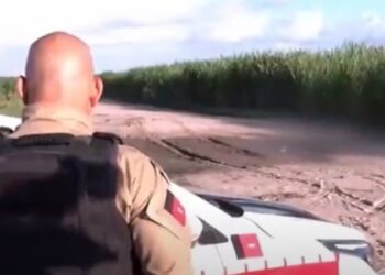 Jovem é encontrado morto com mãos amarradas e marcas de tiros em canavial em Santa Rita