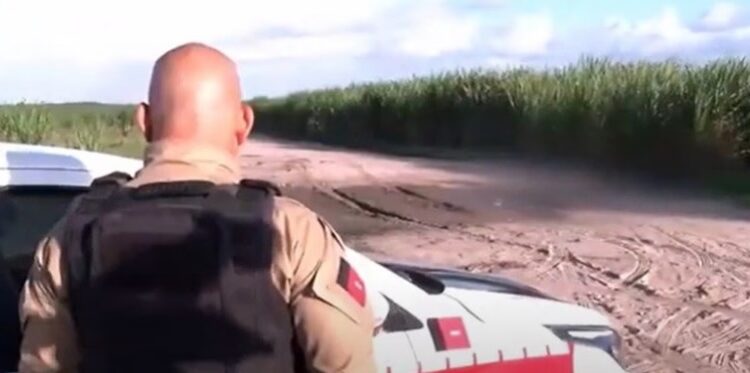 Jovem é encontrado morto com mãos amarradas e marcas de tiros em canavial em Santa Rita