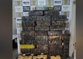 Polícias aprendem uma tonelada de maconha em Soledade, no Cariri da PB