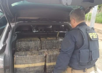 PRF apreende quase 200kg de maconha em veículo abandonado em Mamanguape