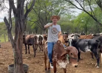 Romero Rodrigues alfineta rivais na corrida pelo governo da PB: “Vou chegar primeiro, anotem”