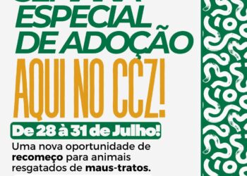 CCZ realiza semana especial de adoção para cães e gatos resgatados em Campina
