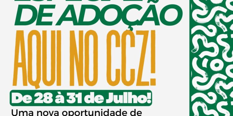 CCZ realiza semana especial de adoção para cães e gatos resgatados em Campina