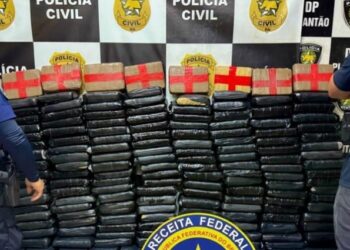 Polícia do RN apreende carga de skunk avaliada em R$ 5 milhões e que seria enviada à PB