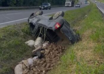Carro capota na BR-101 transportando inhame de Conde para João Pessoa