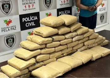 Homem é preso em Bayeux com mais de 50 tabletes de maconha vindos da Colômbia