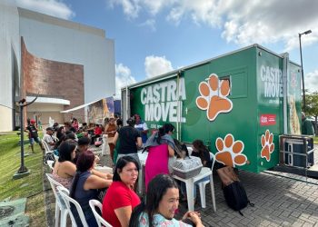 Prefeitura oferta mais 200 vagas para castração de gatos no bairro de Mangabeira