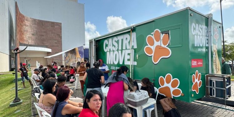 Prefeitura oferta mais 200 vagas para castração de gatos no bairro de Mangabeira