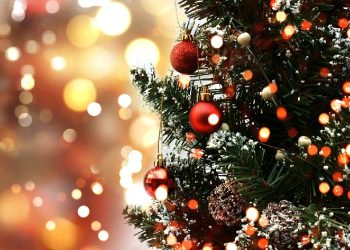 Cícero Lucena apresenta programação cultural de Natal e Réveillon e inaugura decoração natalina