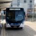 Campina Grande terá expansão de itinerário em cinco linhas de ônibus a partir de segunda-feira