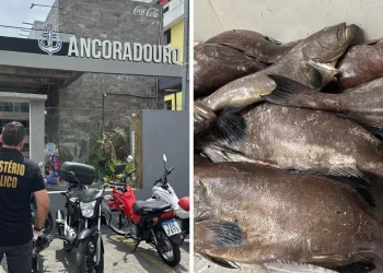 Após notificação na operação ‘orla limpa’, restaurante é interditado por alimentos mofados em João Pessoa