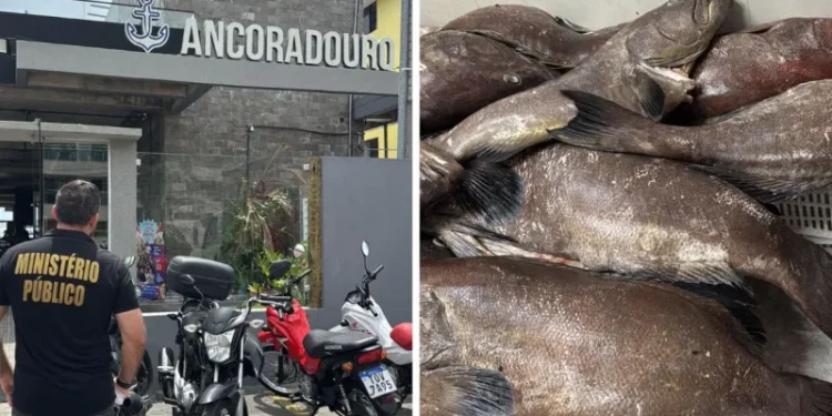 Após notificação na operação ‘orla limpa’, restaurante é interditado por alimentos mofados em João Pessoa