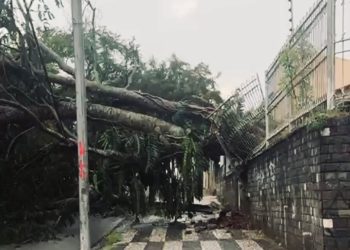 Defesa Civil de Campina emite boletim sobre ocorrências após chuvas e ventos fortes na cidade neste domingo