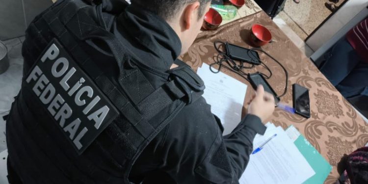 Polícia Federal deflagra Operação Êxito contra cultivo ilícito de maconha no Sertão da Paraíba