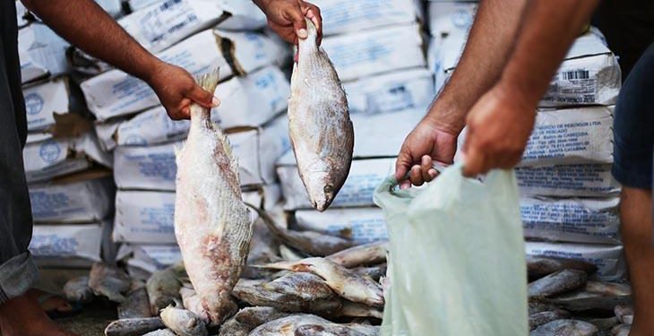 Prefeitura de Bayeux inicia entrega de fichas para retirada do peixe da Semana Santa