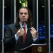 Relatório de Veneziano que define guarda compartilhada de pets para casais que se separam é aprovado no Senado e segue para sanção