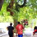 Prefeitura de João Pessoa finaliza preparação dos cemitérios públicos