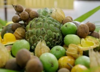 Governo do Brasil lança edital de R$ 50 milhões para fortalecer agricultores familiares