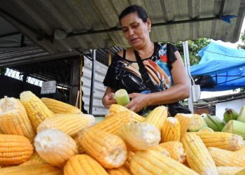 Procon Bayeux orienta população sobre preços e pesquisa de mercado durante festejos juninos